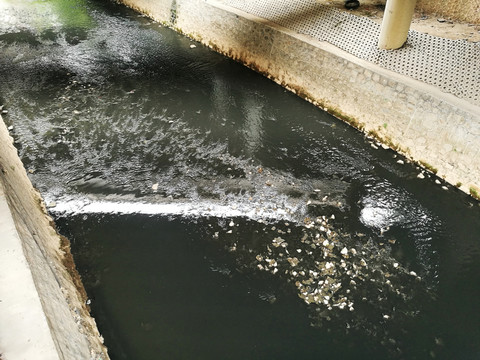 洋青镇工业基地污水处理厂重建项目生态环境影响评价公众参与第一(图1)