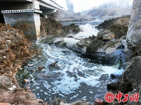 宜昌市生态环境局(图1)